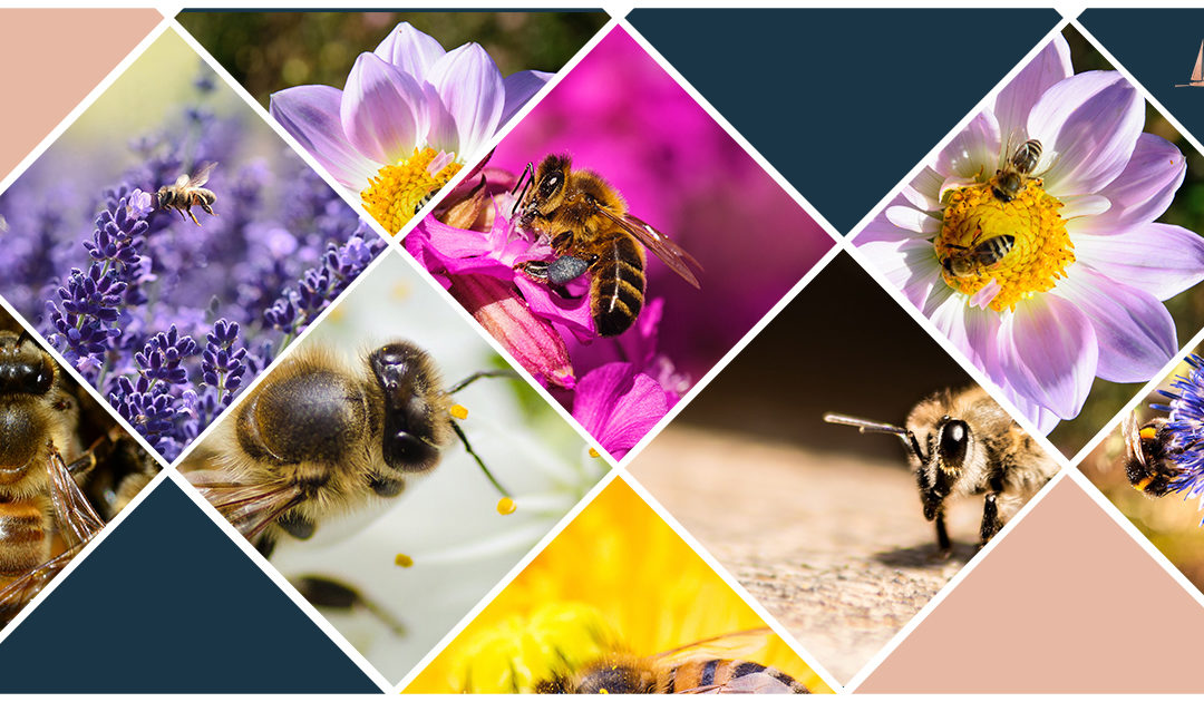 The Big Business of Bees: 4 Ripe Opportunities in a Multi-Billion Dollar Market